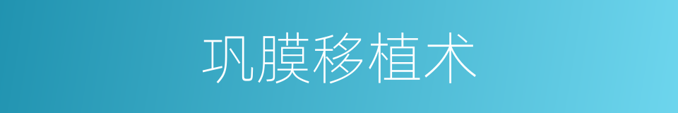 巩膜移植术的同义词