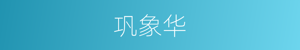 巩象华的同义词