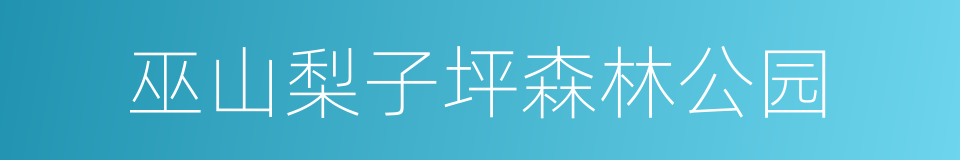 巫山梨子坪森林公园的意思