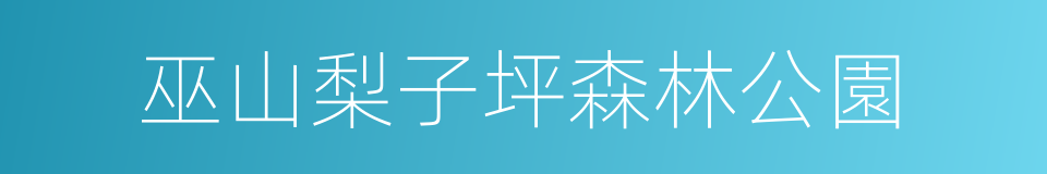 巫山梨子坪森林公園的同義詞