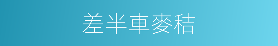 差半車麥秸的同義詞