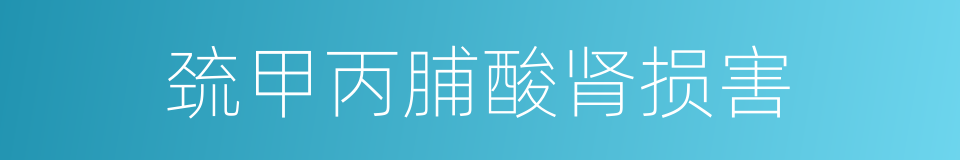 巯甲丙脯酸肾损害的同义词
