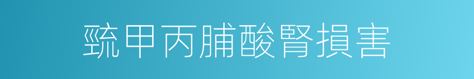 巰甲丙脯酸腎損害的同義詞