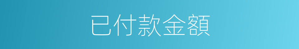 已付款金額的同義詞