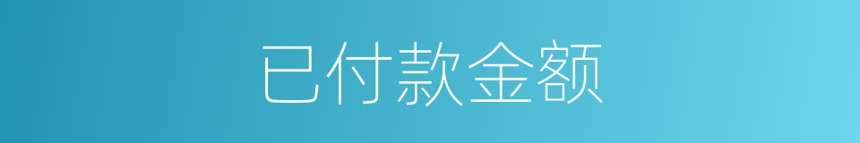 已付款金额的同义词