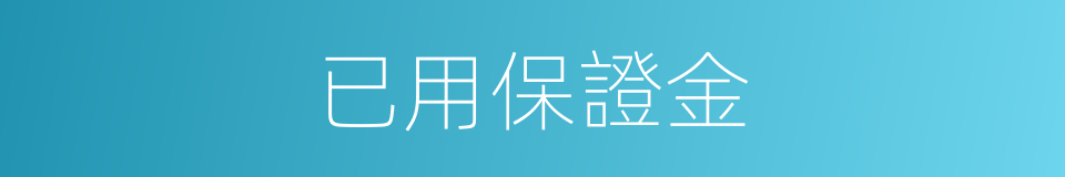 已用保證金的同義詞