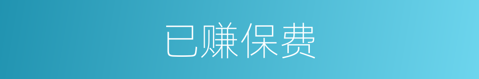 已赚保费的同义词