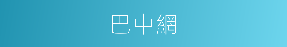 巴中網的同義詞
