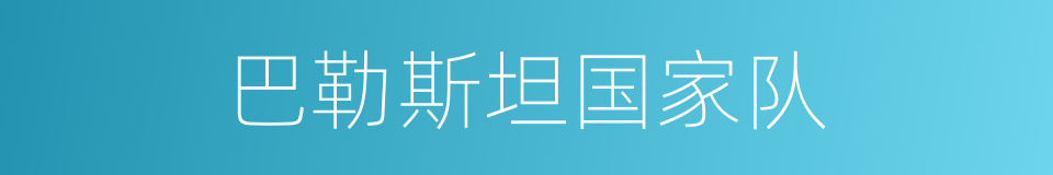 巴勒斯坦国家队的同义词