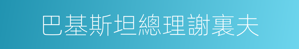 巴基斯坦總理謝裏夫的同義詞
