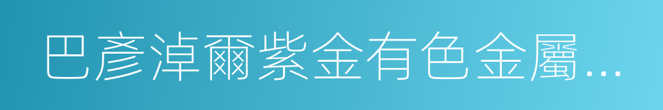 巴彥淖爾紫金有色金屬有限公司的同義詞