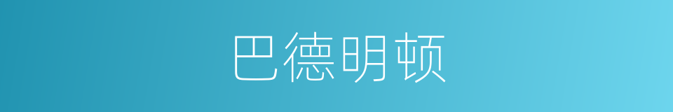巴德明顿的同义词