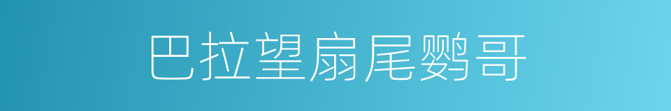 巴拉望扇尾鹦哥的同义词