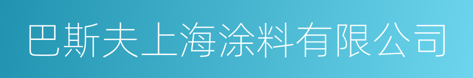 巴斯夫上海涂料有限公司的同义词