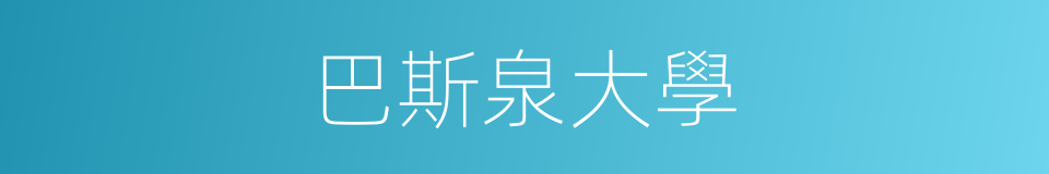巴斯泉大學的同義詞