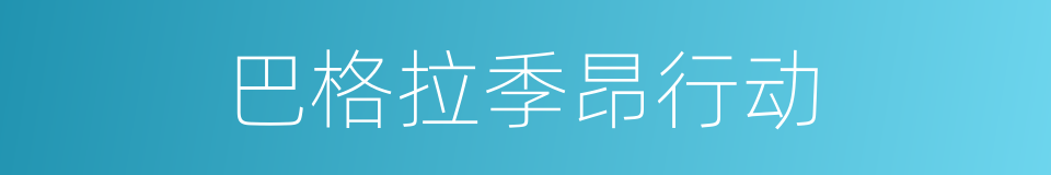 巴格拉季昂行动的同义词