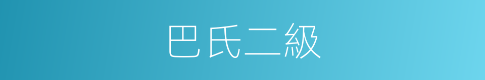 巴氏二級的同義詞