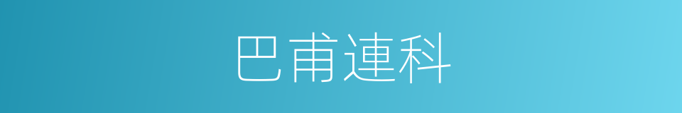 巴甫連科的同義詞