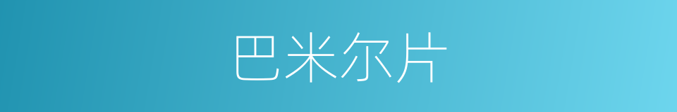 巴米尔片的同义词