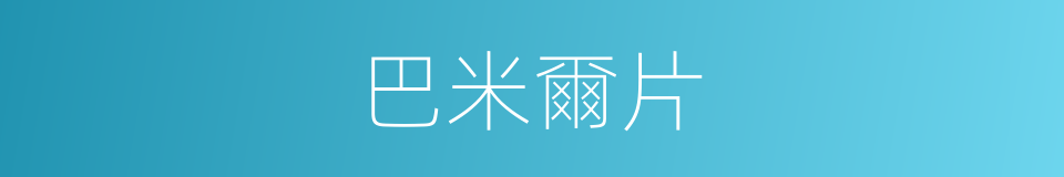 巴米爾片的同義詞