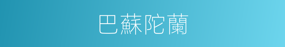 巴蘇陀蘭的同義詞