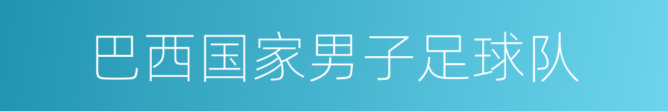 巴西国家男子足球队的意思