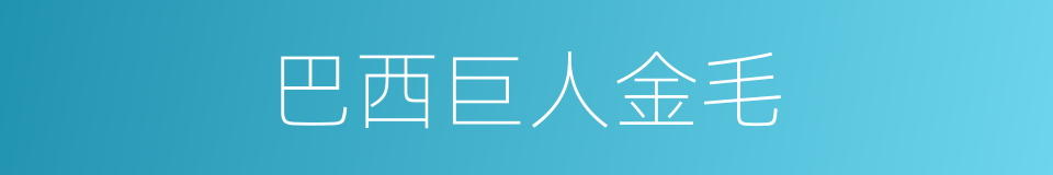 巴西巨人金毛的同义词