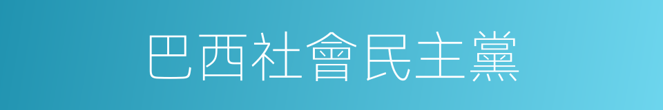 巴西社會民主黨的同義詞