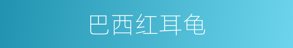 巴西红耳龟的同义词