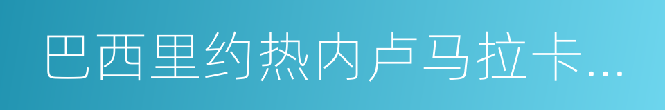 巴西里约热内卢马拉卡纳体育场的同义词