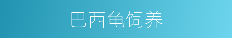 巴西龟饲养的同义词