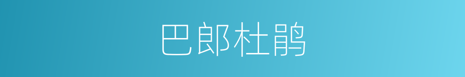 巴郎杜鹃的同义词