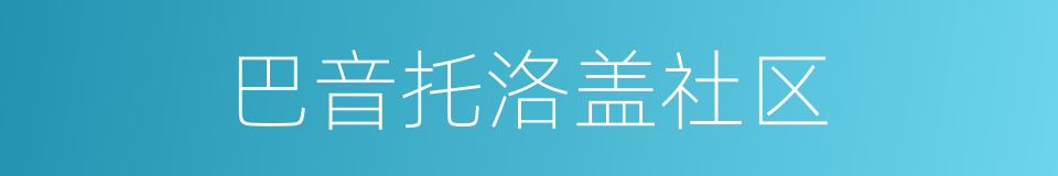 巴音托洛盖社区的同义词