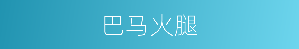 巴马火腿的同义词