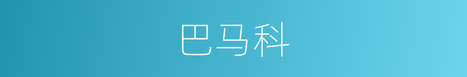 巴马科的同义词