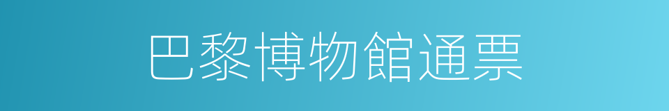 巴黎博物館通票的同義詞
