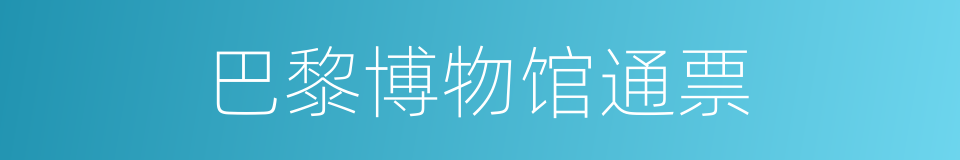 巴黎博物馆通票的同义词