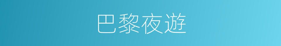 巴黎夜遊的同義詞