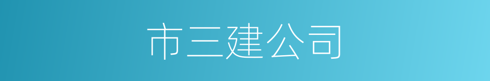 市三建公司的同义词