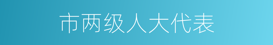 市两级人大代表的同义词