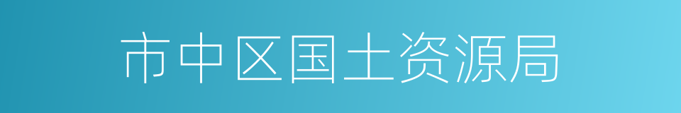 市中区国土资源局的同义词