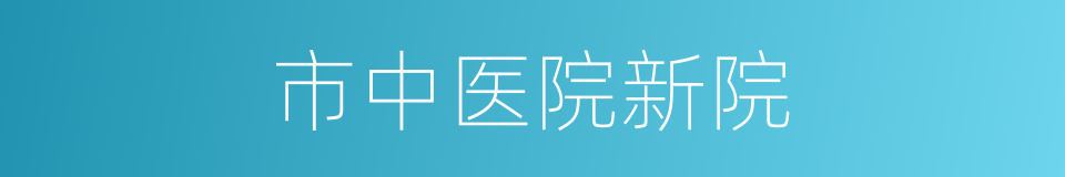 市中医院新院的同义词
