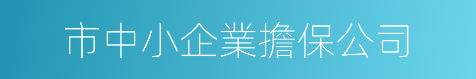 市中小企業擔保公司的同義詞