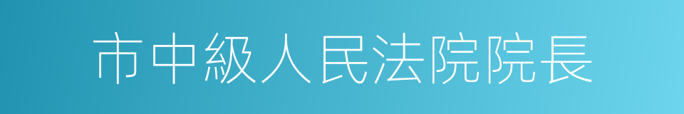 市中級人民法院院長的同義詞