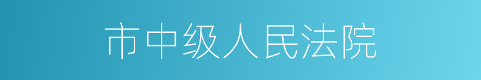 市中级人民法院的同义词