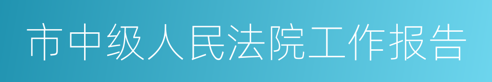 市中级人民法院工作报告的同义词