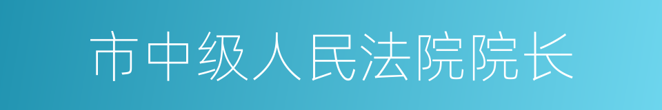 市中级人民法院院长的同义词