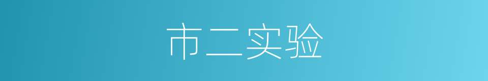 市二实验的同义词