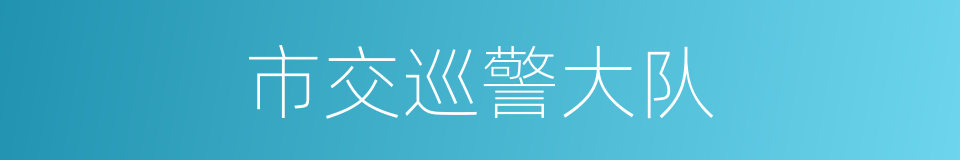 市交巡警大队的同义词