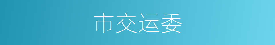 市交运委的同义词
